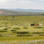 Green Financing and Climate Projects in Mongolia