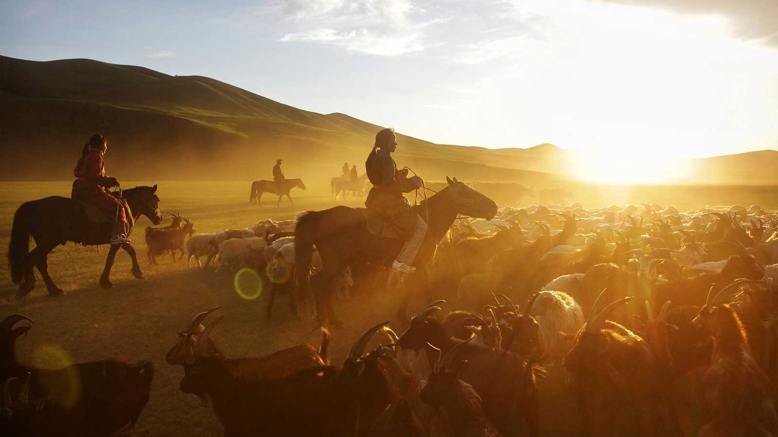 Mongolia Takes the Spotlight: Lonely Planet’s Top Pick for 2024 Travel Destinations